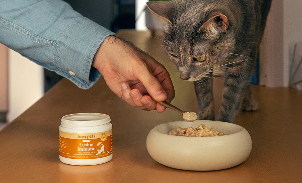 Fera Pets 貓咪補充品