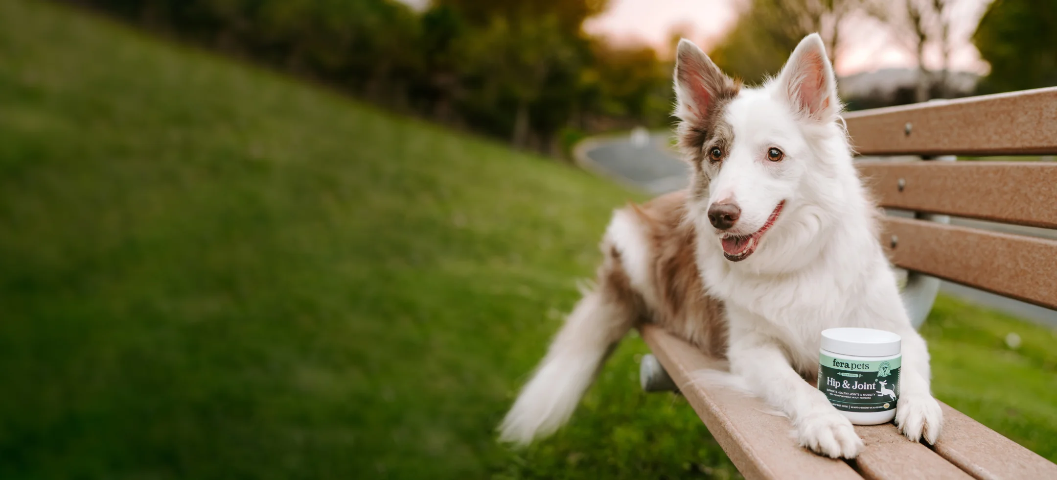 Fera Pets 品牌推廣視覺